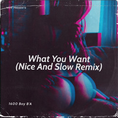 What You Want (Nice And Slow Remix)