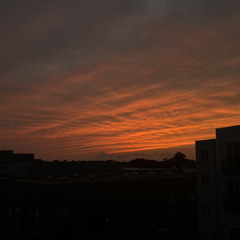 Timelines (feat. Maree!)