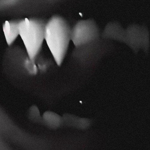 The devil wears prada