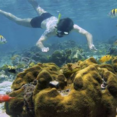 Best Snorkeling In Puerto Viejo Costa Rica Prices Reviews