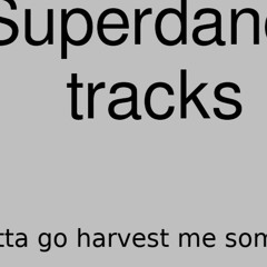 hk_Superdance_tracks_565