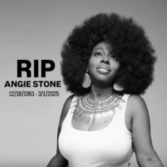Soul Lovable (Angie Stone) written by Charles Perry, Jr._189687.mp3
