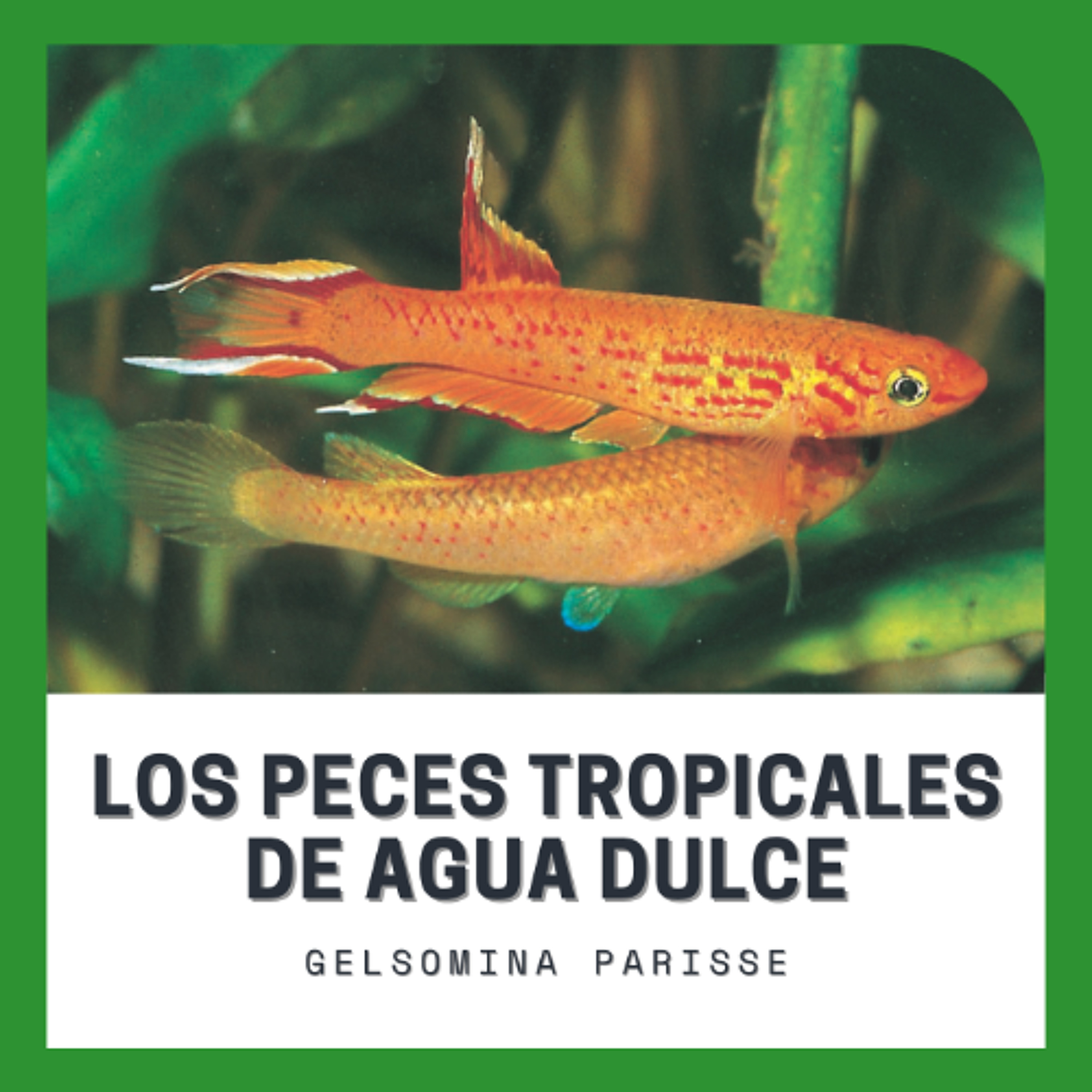 Devecchi Ediciones