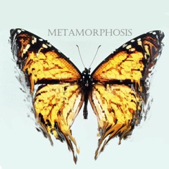 Metamorphosis