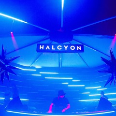 DOLLARHiDE Halcyon Debut (2.10.24)
