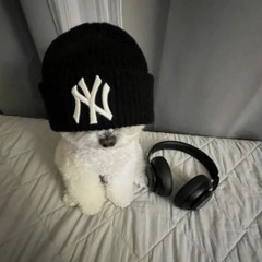 Rayneelord & Rouzen - Cashflow (prod. @promtyy)