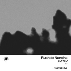 TORSO 03 — January 06, 2026