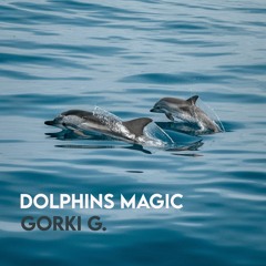 Dolphins Magic