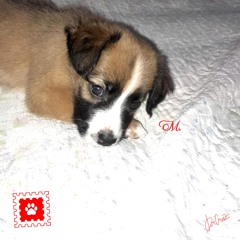 M. - (Official Audio)