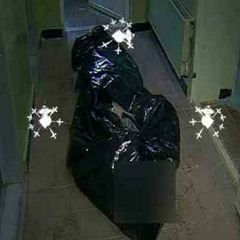 #кураж сИноптик_1