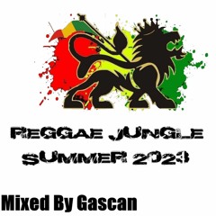 New Reggae Jungle Drum & Bass Mix / Summer 2023 / Ragga Jungle