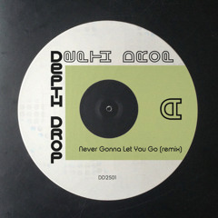Tamia - Never Gonna Let You Go (DD remix)