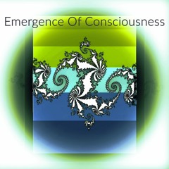 Emergence Of Consciousness