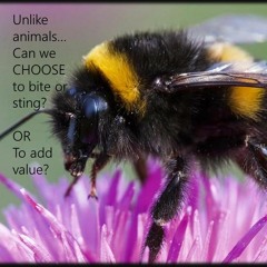 Criticism And Negative Comments VERSUS Praise And Compliments…with Rowie McEvoy