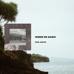 lauvelii - Where We Going?