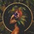 Artwork for Brazilera - DJ Mix (Brazil Vibes Organic Downtempo)