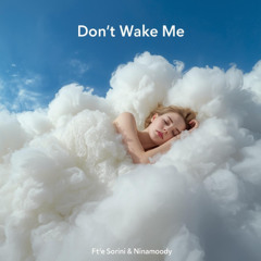 Dont wake me ft esorini Ninamoody
