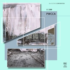 BSC099 PWCCA & REMIX