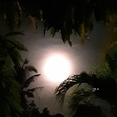 Nengin Nengin-By_Rechuuk