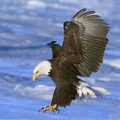 RAZMEN (BUM BUM RIDDIM) 2020