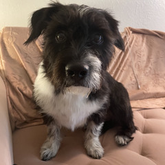 Little Martha IV (Duane Allman arr. Leo Kottke)