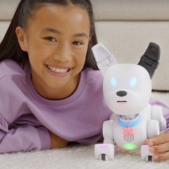Techstination Interview: Dog-E collars top toy & Time invention accolades for WowWee