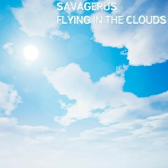 Flying In The Clouds