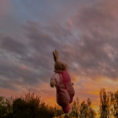 Litt av kvart-liveset Charlotte 50