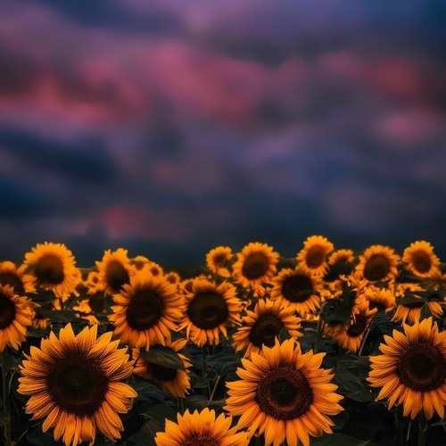 You Do Something To me - DelhyA & zzspicezz Collaboration