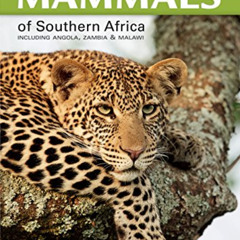[Download] EBOOK ✅ Stuarts' Field Guide to Mammals of Southern Africa: Including Ango