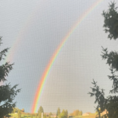 I get along without you very well (except sometimes)