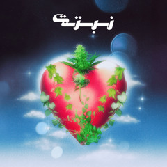 MOHAIMEN x MOUSV - NABTA  مهيمن وموسى  نبتة
