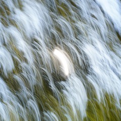 Vouloir (Test Version)