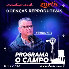 Programa O Campo #3 -  Doenças Reprodutivas com Normélio Neto
