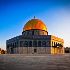 07.15 PALESTINA, Jericho 28-4-11 Van Revolutie Naar Evolutie