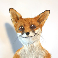 Marcos Füchsichster - Live at The Dojo - 11.10.2025