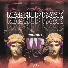 VIP MASHUP PACK VOL. 02 (30+ TRACKS)