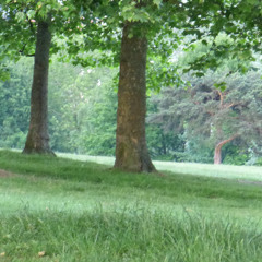 Piano Suite 16_10