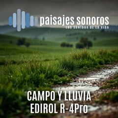 Ambiente de campo y lluvia [Edirol R4-Pro, Telinga Pro7]
