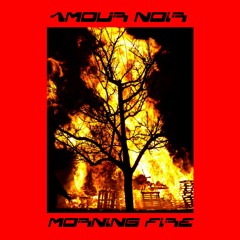MOITZ Premiere: Amour Noir - Morning Fire [UR088]