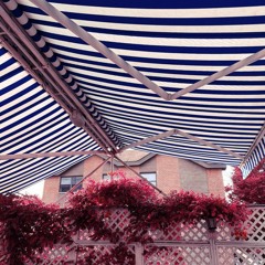 son seslenişim (cover)