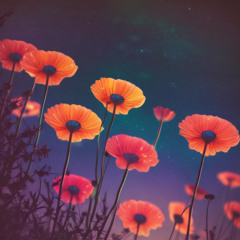 NOVA4 – “BELONG (우리 함께 )