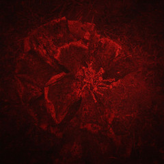 Forest Set - 1h - 151 BPM -> 153 BPM - Blade Runner - PVT QWERTY 3.0