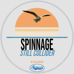Spinnage - Still Collider (Soul Zen Remix)[Agua Salada Records]