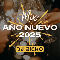 AÑO NUEVO 2025 [DJ BICHO 24']