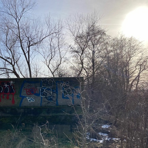 Y'all ready for the endless vaccine debates?