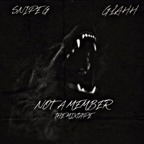 Outro ( DONT LIKE ) [EP]