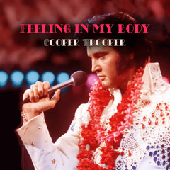 I Gotta Feeling (In My Body) - Cooper Trooper