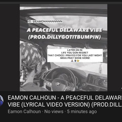 A PEACEFUL DELAWARE VIBE (PROD.DILLYGOTITBUMPIN