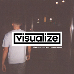 Visualize Mint Festival DJ Competition 2024